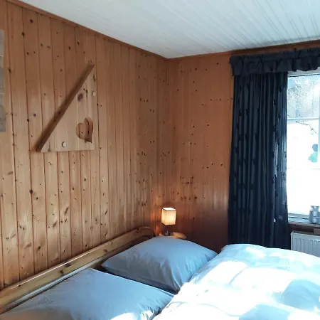 Fewo Holzwurm Braunlage Buitenkant foto
