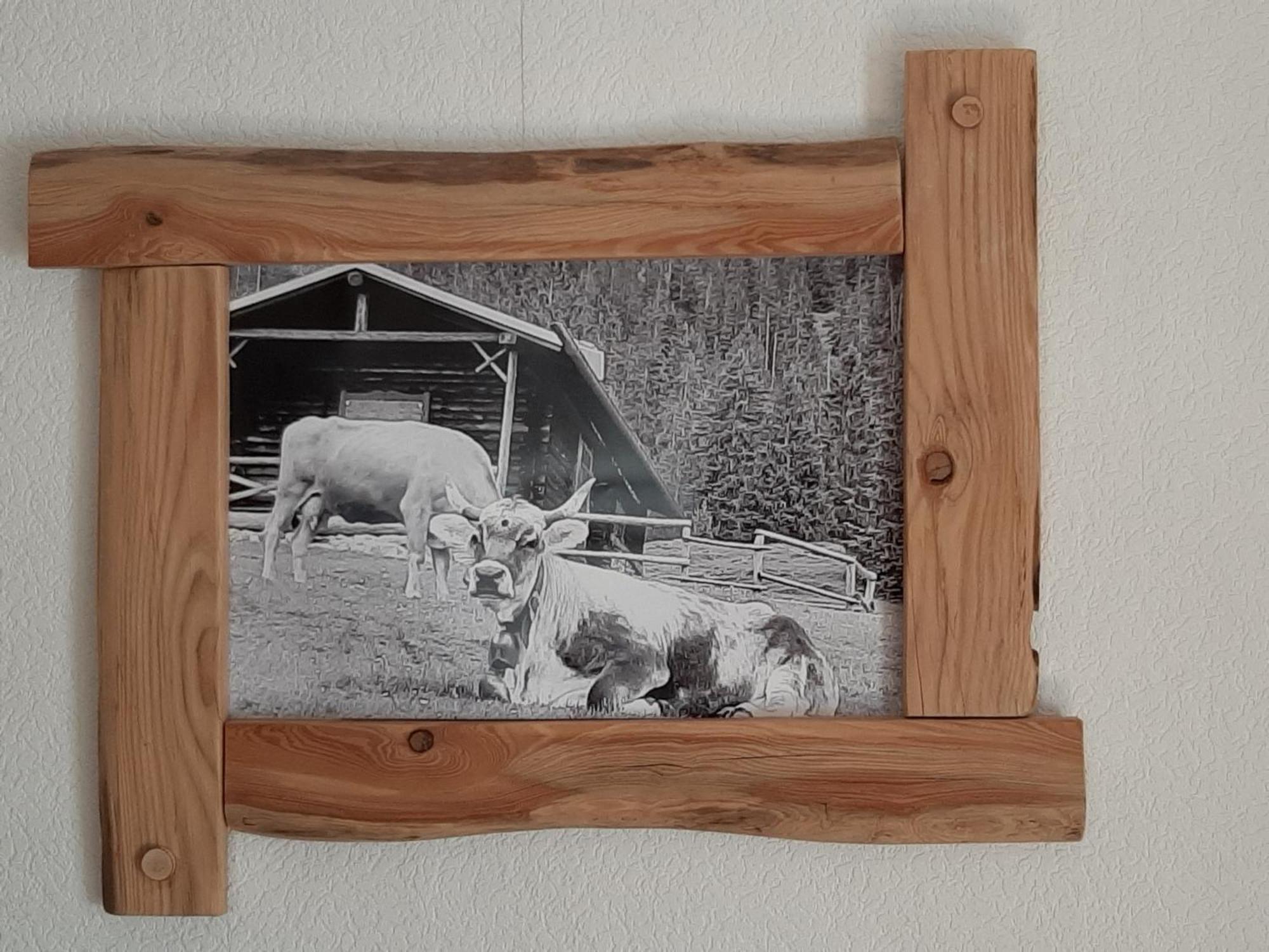 Appartement Holzwurm *